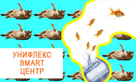 Итоги проекта Унифлекс SMART-центр
